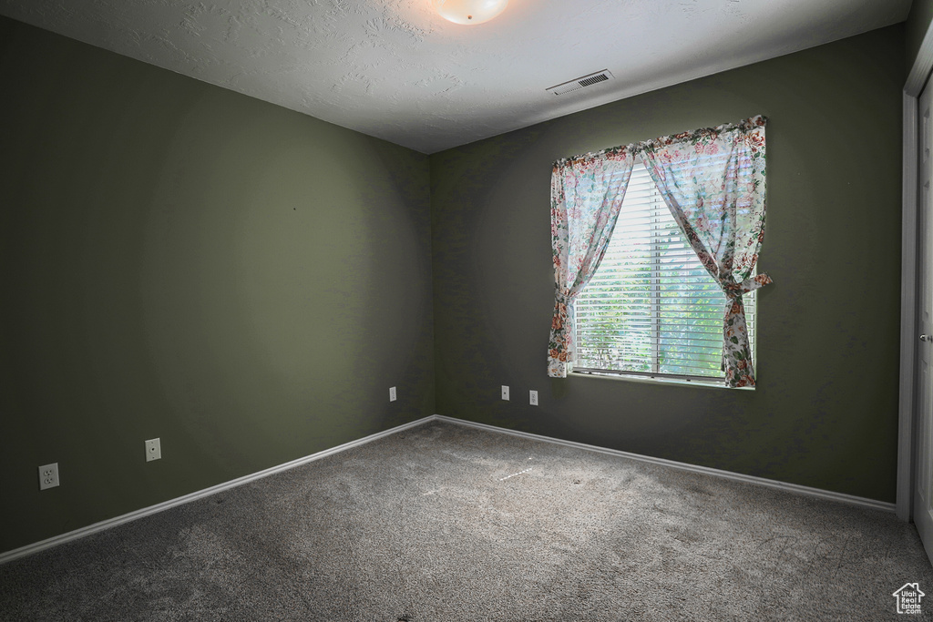 Carpeted empty room with baseboards