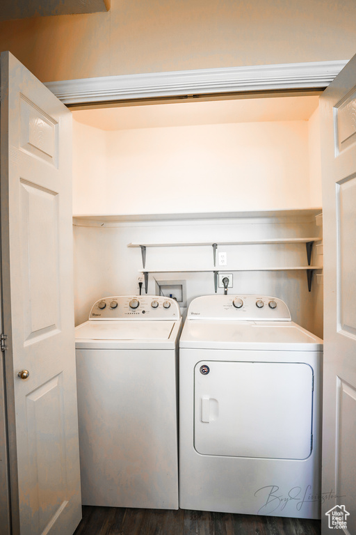 Laundry room featuring separate washer and dryer and dark wood-style flooring