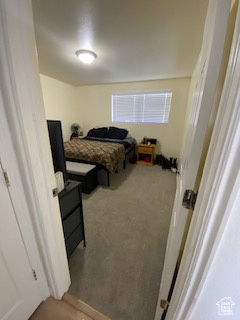 Bedroom with carpet flooring