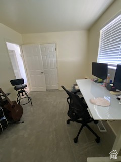 Home office with carpet