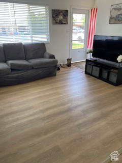Living area with wood finished floors and healthy amount of natural light