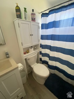 Full bathroom featuring vanity, wood finished floors, and curtained shower