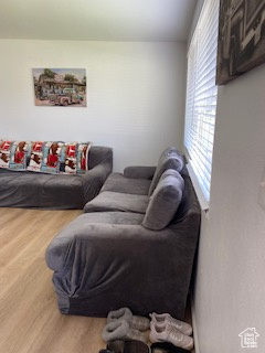Living room with wood finished floors