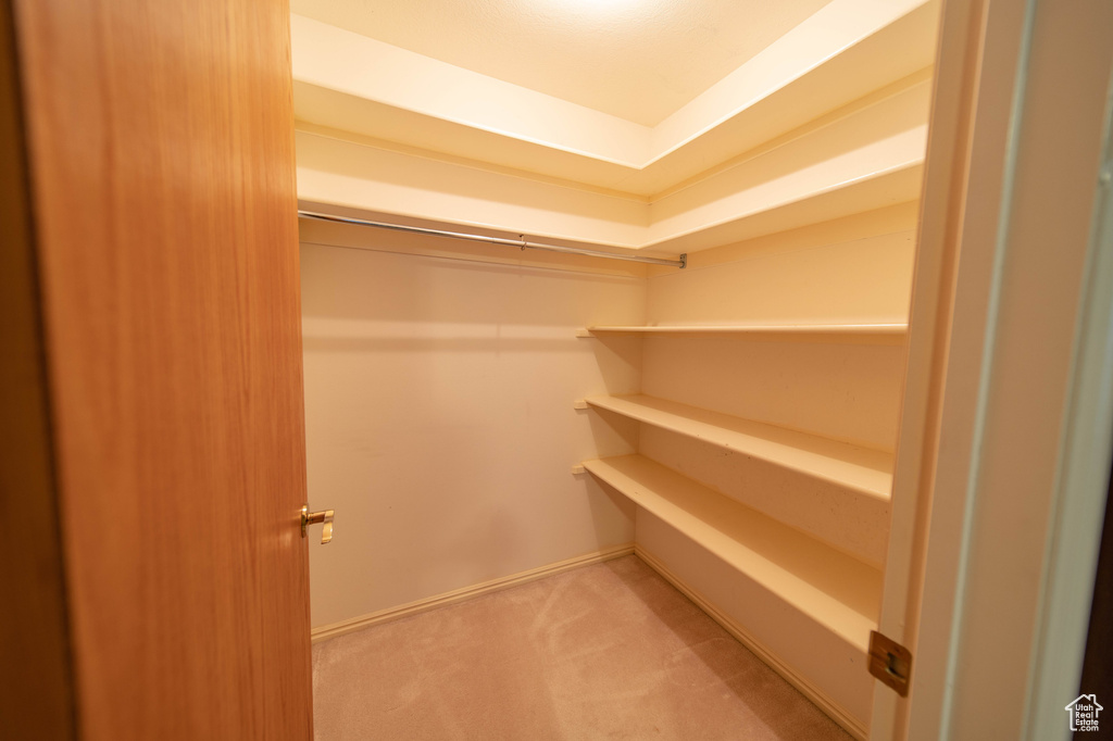 Spacious closet with carpet flooring
