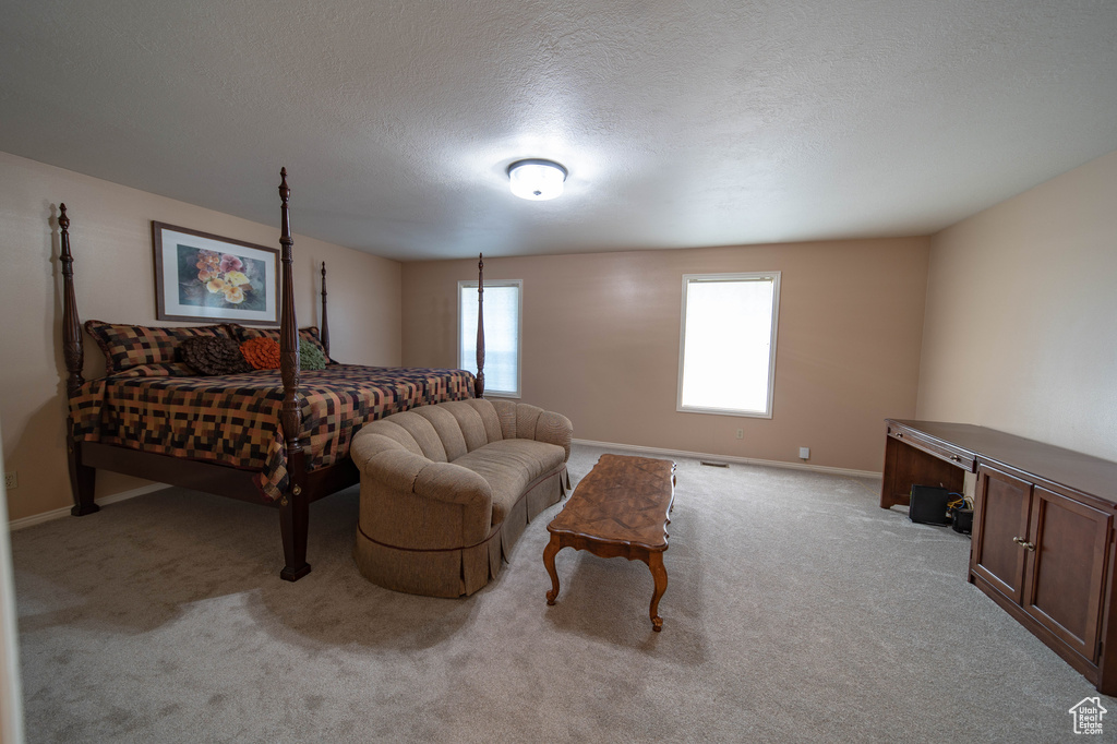 Bedroom with light carpet and a textured ceiling