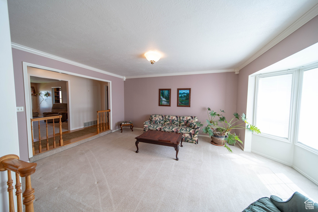 Carpeted living room featuring ornamental molding
