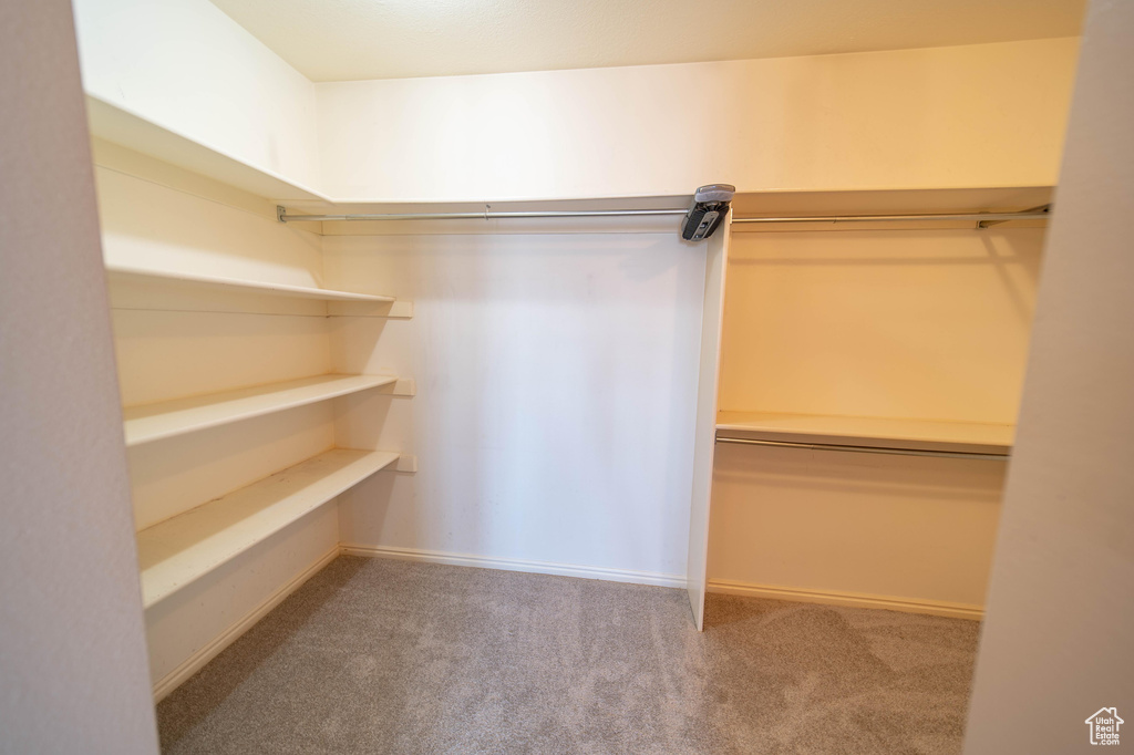 Spacious closet with carpet flooring