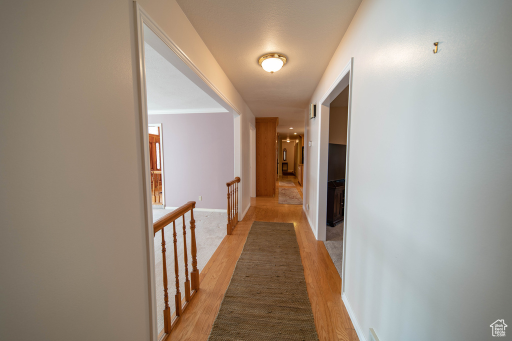 Hall with an upstairs landing and light wood-style flooring