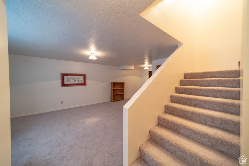 Stairs with a textured ceiling and carpet flooring