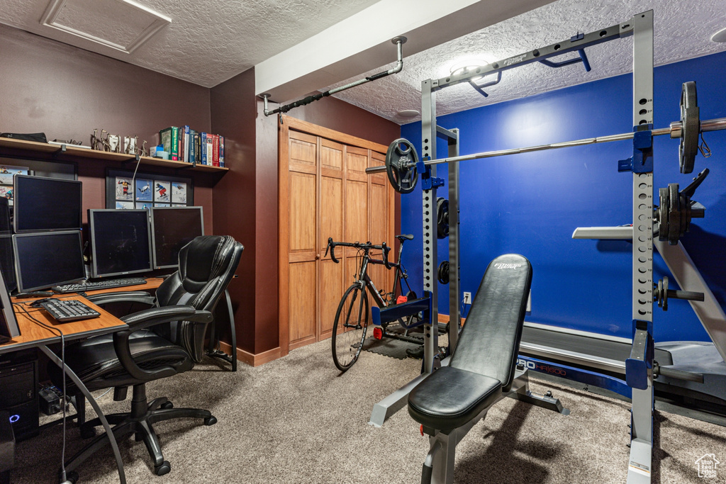 Office space featuring a textured ceiling, attic access, and carpet