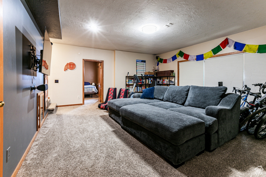 Carpeted living room featuring a textured ceiling