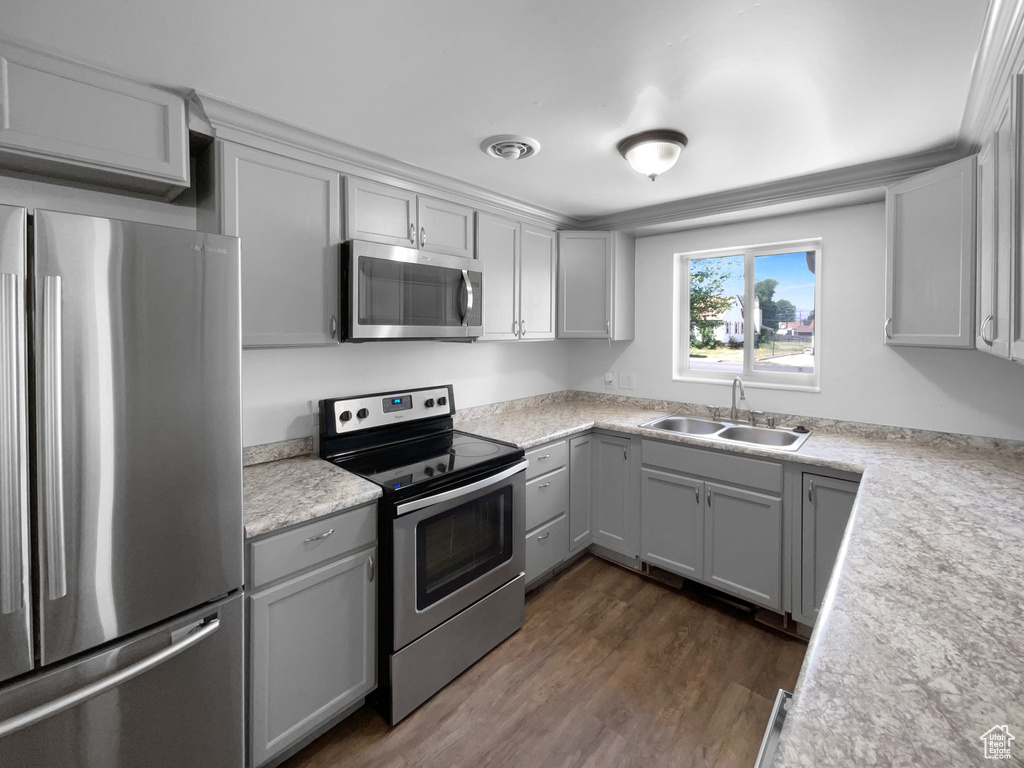 Kitchen featuring stainless steel appliances, dark wood-style flooring, gray cabinetry, and light countertops