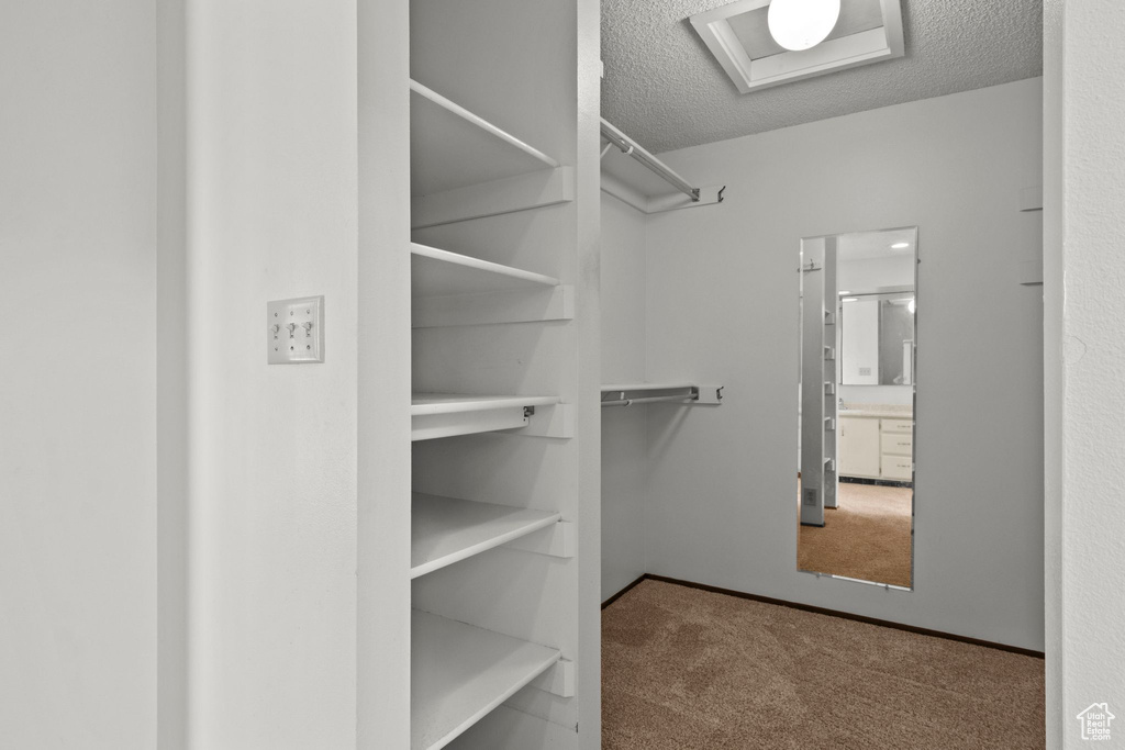Spacious closet featuring carpet floors