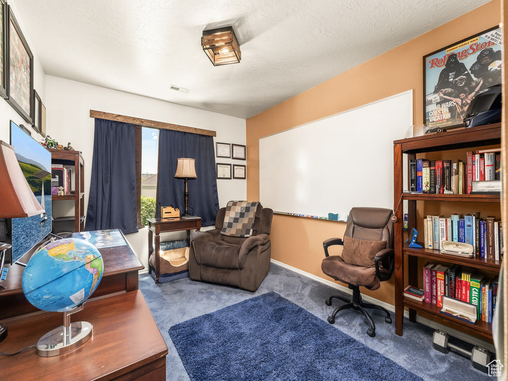 Living area with carpet