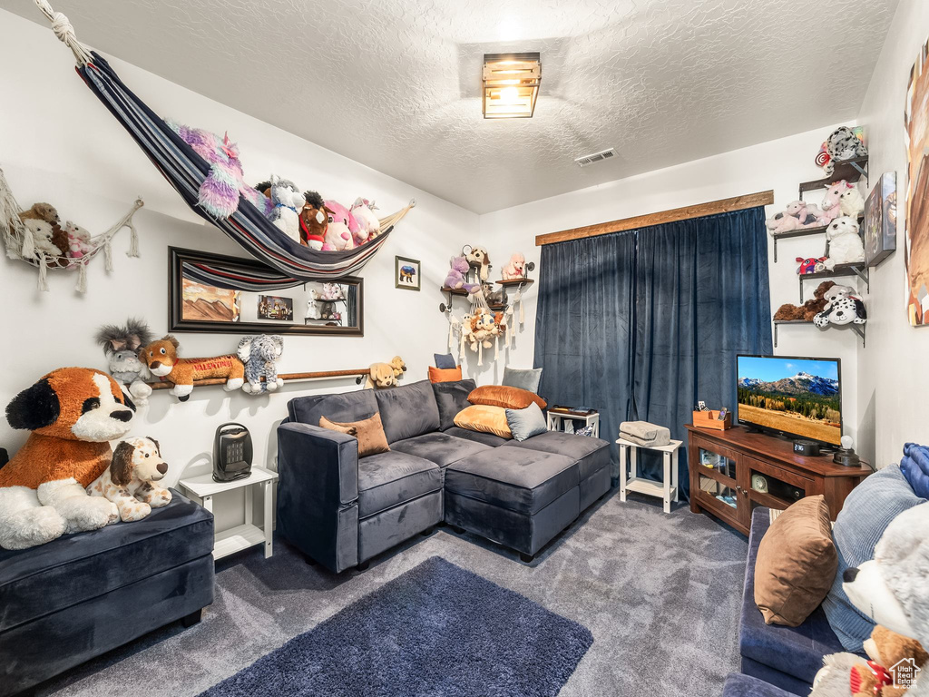 Carpeted living area with a textured ceiling