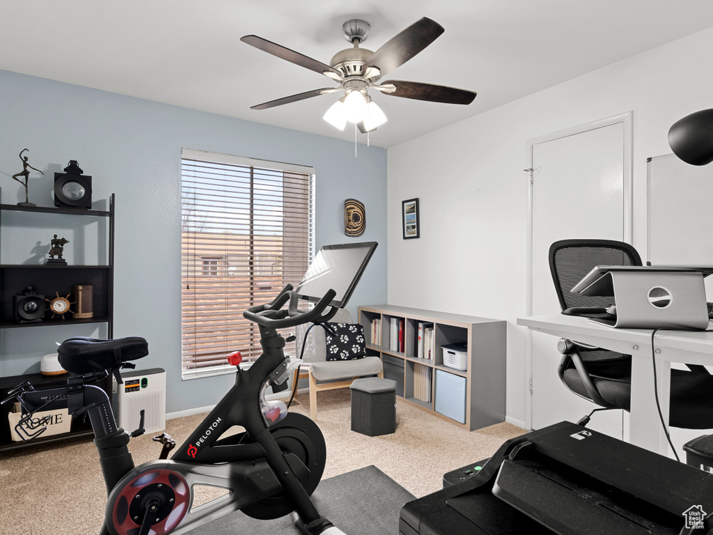 Workout room featuring a ceiling fan and carpet