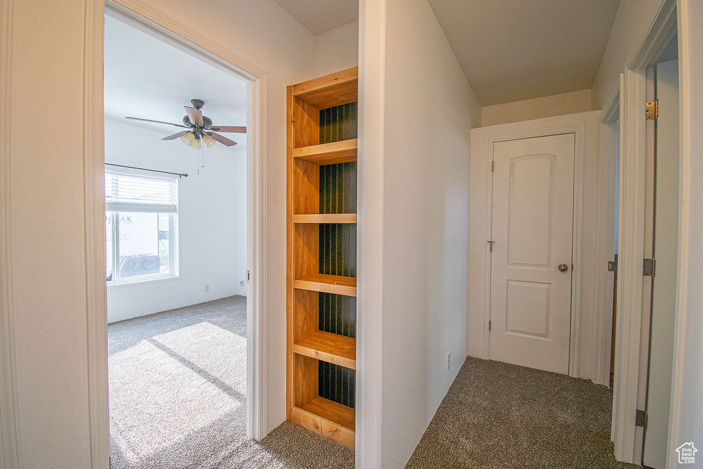 Hallway featuring carpet floors
