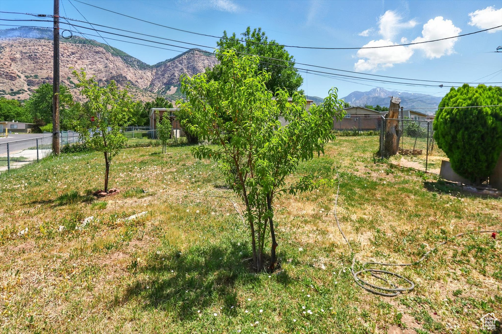 View of yard featuring a mountain view