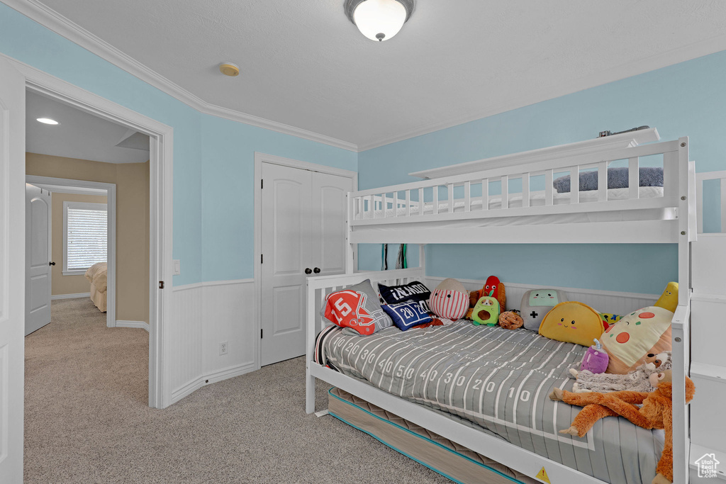 Bedroom with carpet floors, crown molding, a closet, and a wainscoted wall