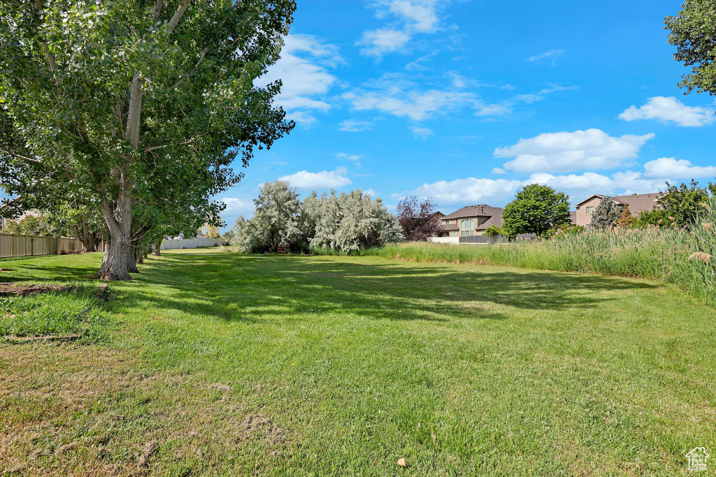 View of green lawn