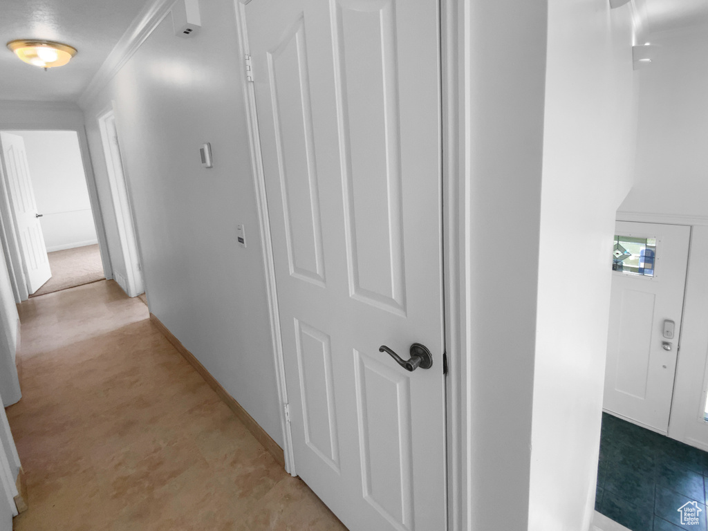 Hall with baseboards and ornamental molding