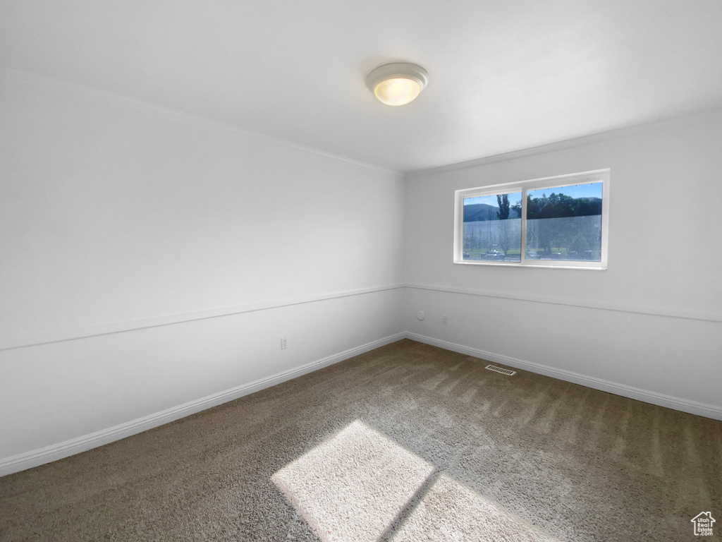 Spare room with carpet flooring and ornamental molding
