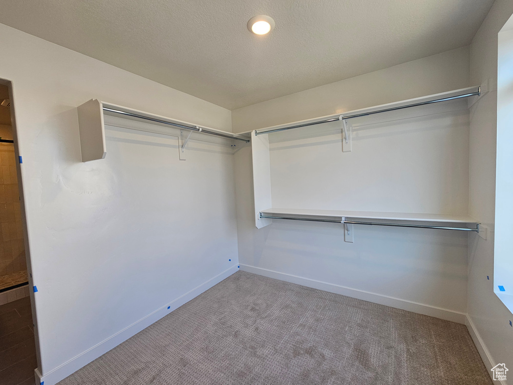 Walk in closet with carpet