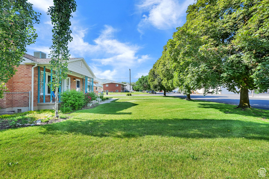 View of grassy yard