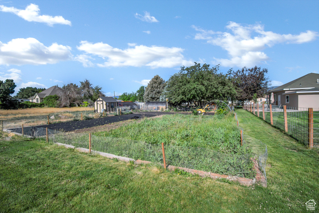 View of yard featuring a storage unit
