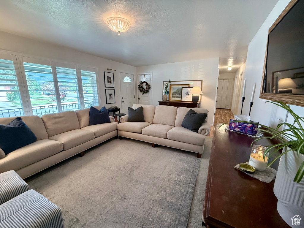 View of living area