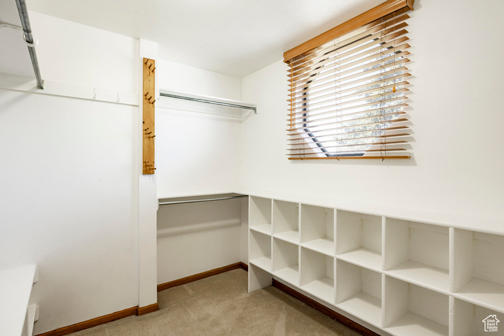 Spacious closet with carpet floors