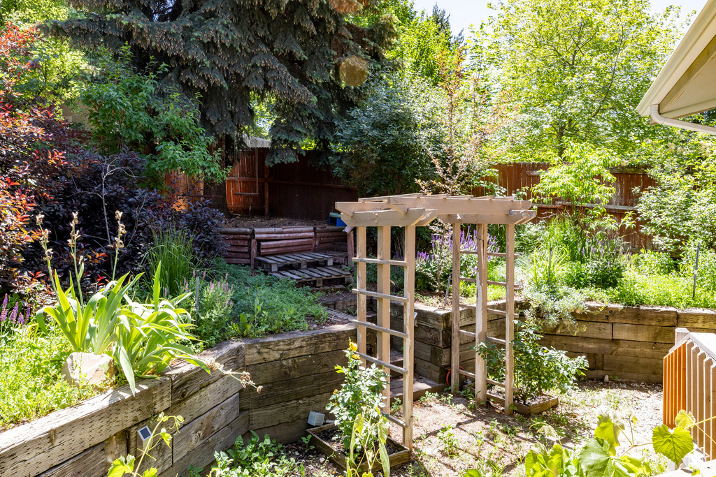 Fenced backyard with a vegetable garden