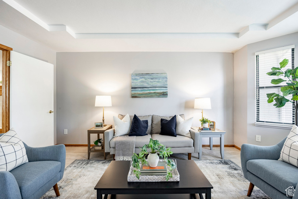 Living area with a tray ceiling and baseboards