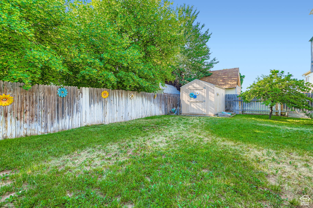 Fenced backyard with a storage unit