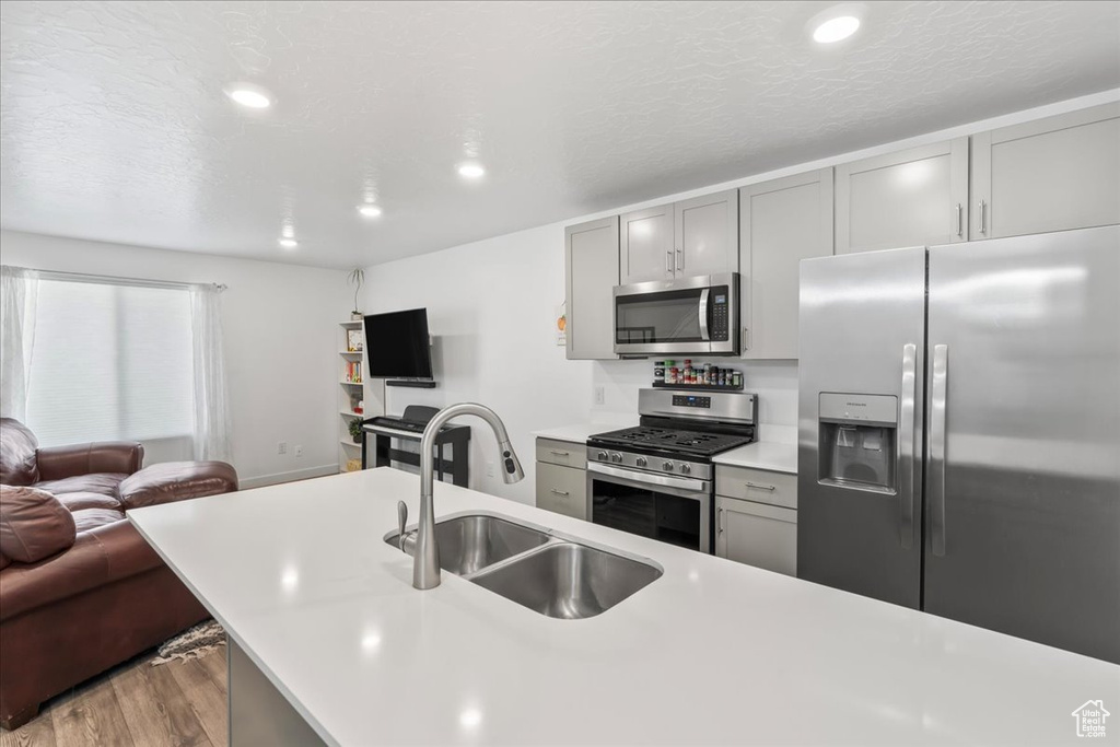 Kitchen featuring appliances with stainless steel finishes, open floor plan, gray cabinets, light countertops, and wood finished floors