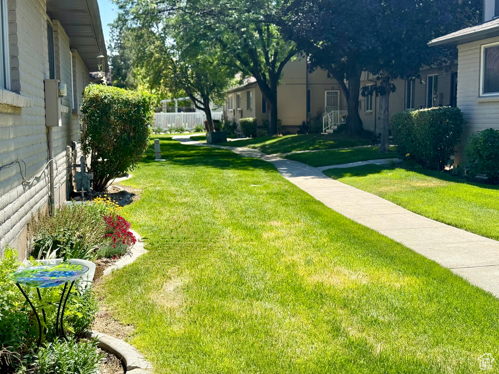 View of green lawn