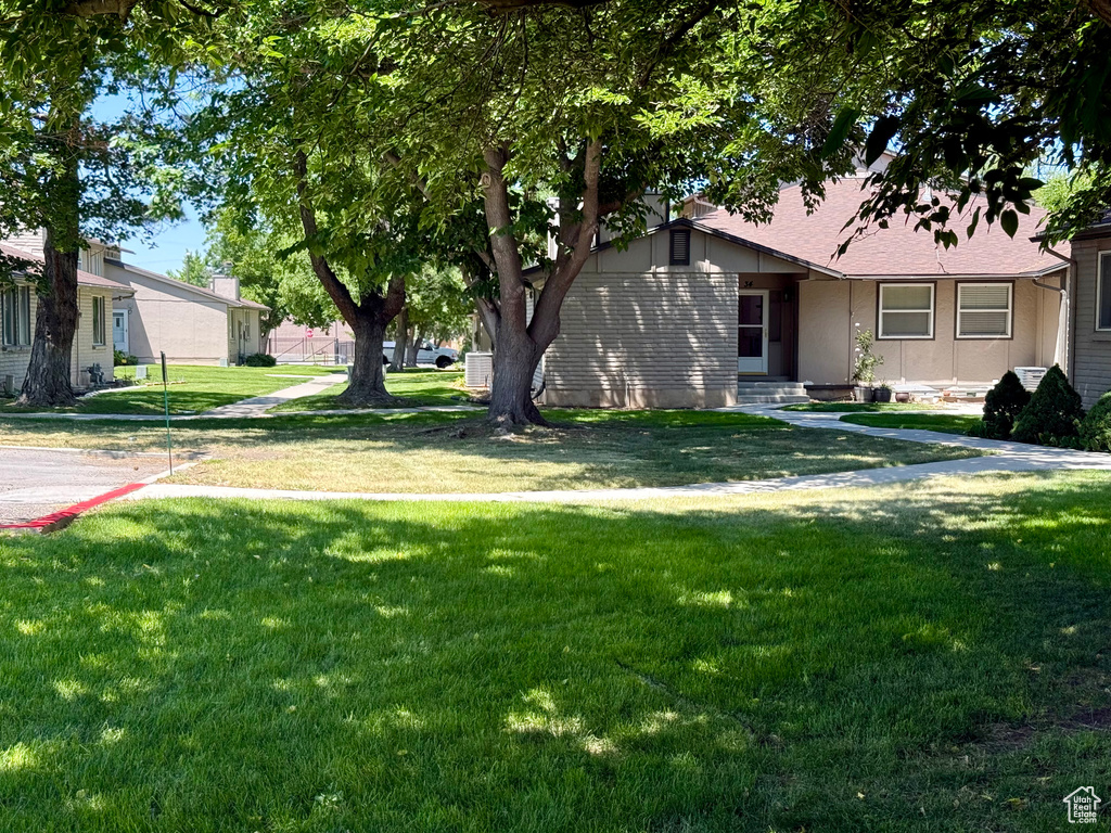 View of grassy yard