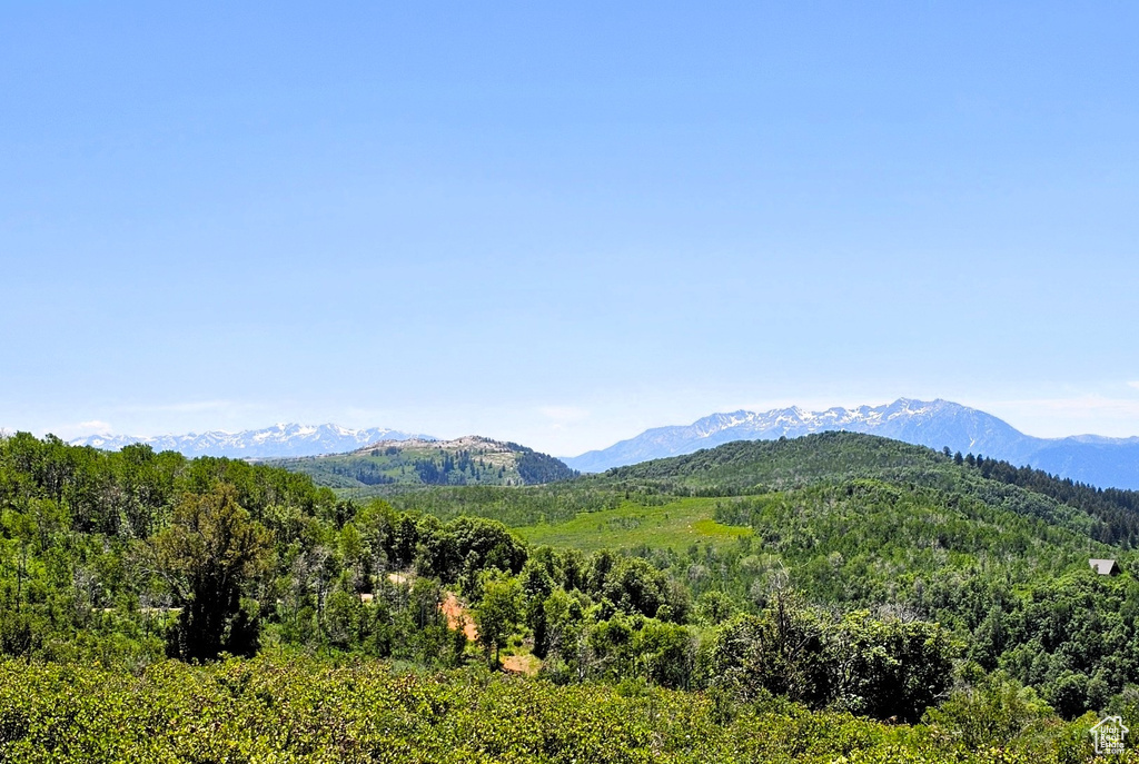 View of mountain background featuring a heavily wooded area