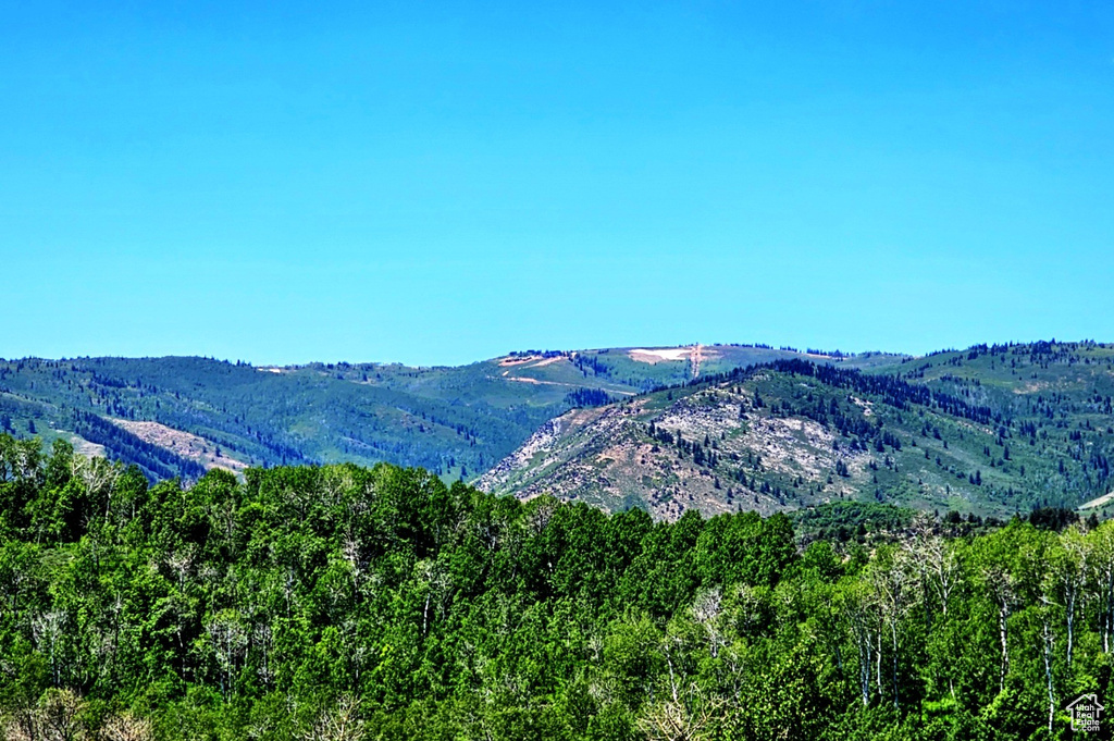 Mountain view with a forest