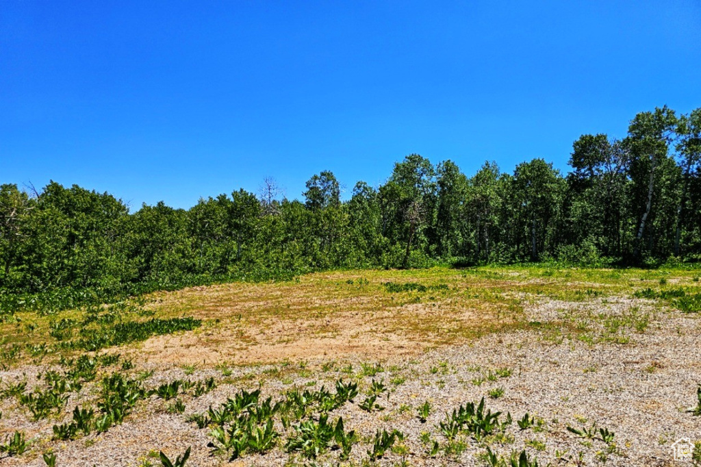 View of undeveloped land