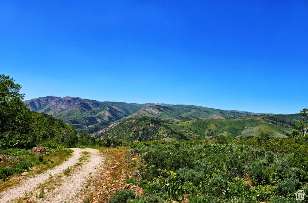 View of mountain background