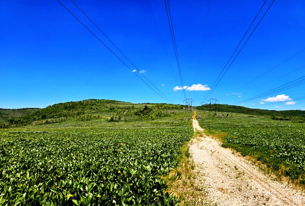 View of dirt / gravel road with a view of countryside