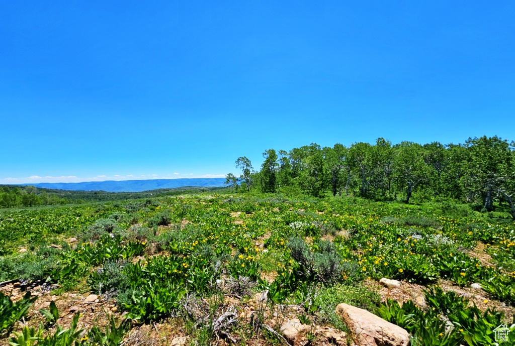 View of mountain background