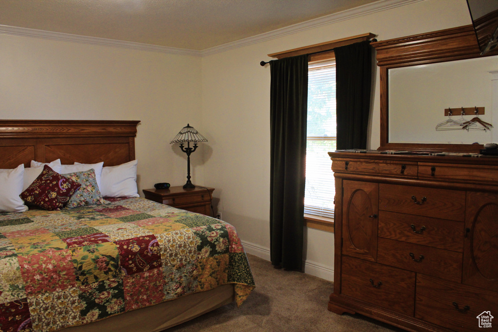 Bedroom featuring carpet flooring and ornamental molding