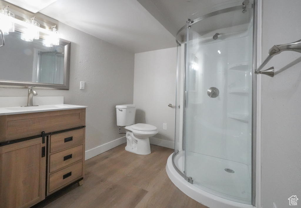 Bathroom featuring wood finished floors, vanity, and a stall shower