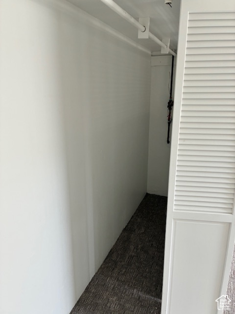 Walk in closet with carpet