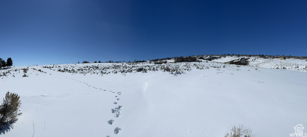 View of snowy yard