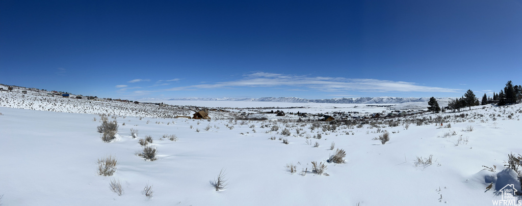 View of yard covered in snow