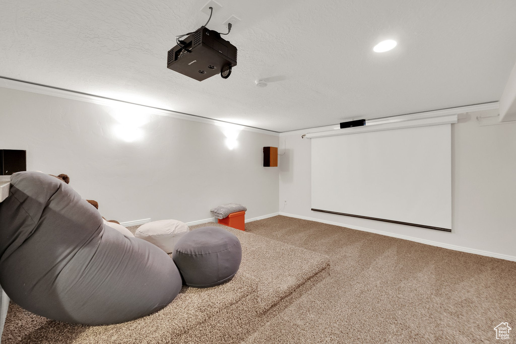 Carpeted home theater room featuring baseboards and a textured ceiling