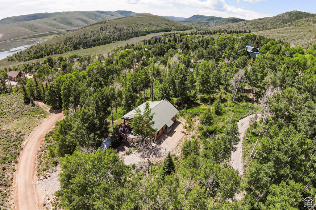 Bird's eye view of a mountain backdrop and a heavily wooded area